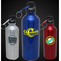 18 Oz. Steel Water Bottle w/ Carabiner Clip